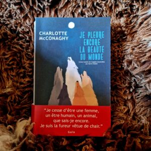 Je pleure encore la beauté du monde