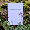 Les Fleurs sauvages