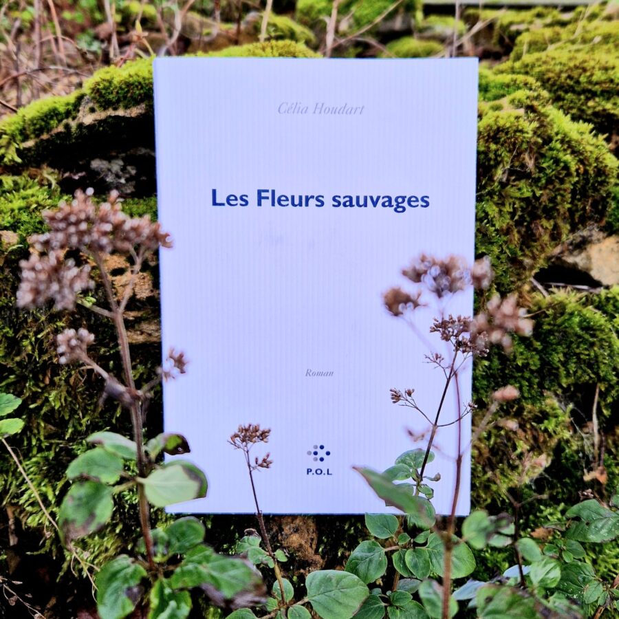Les Fleurs sauvages