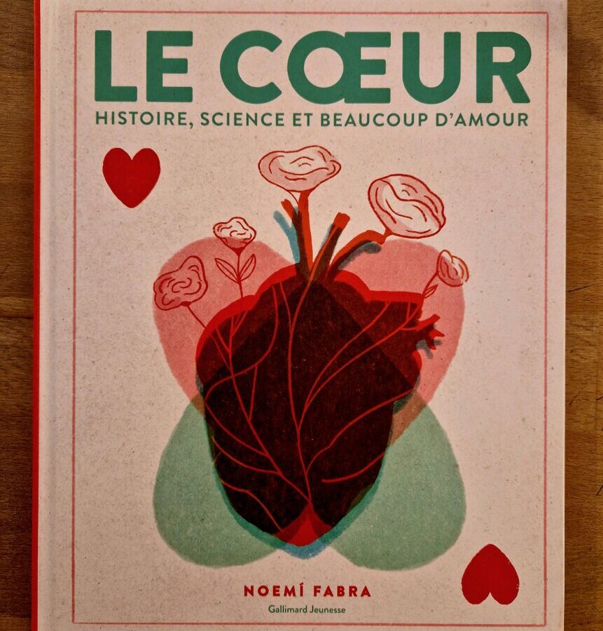 Le cœur