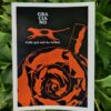 Celle-qui-sait-les-herbes