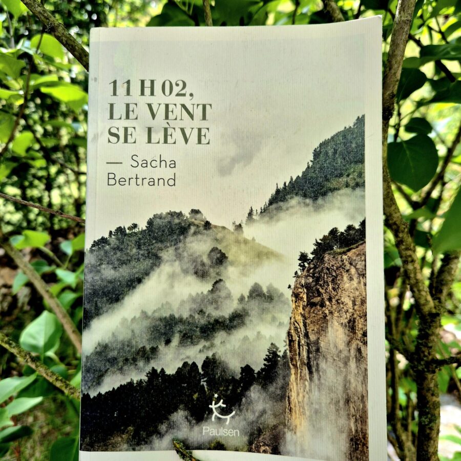 11h02 Le vent se lève