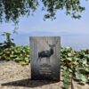 Sur les ossements des morts