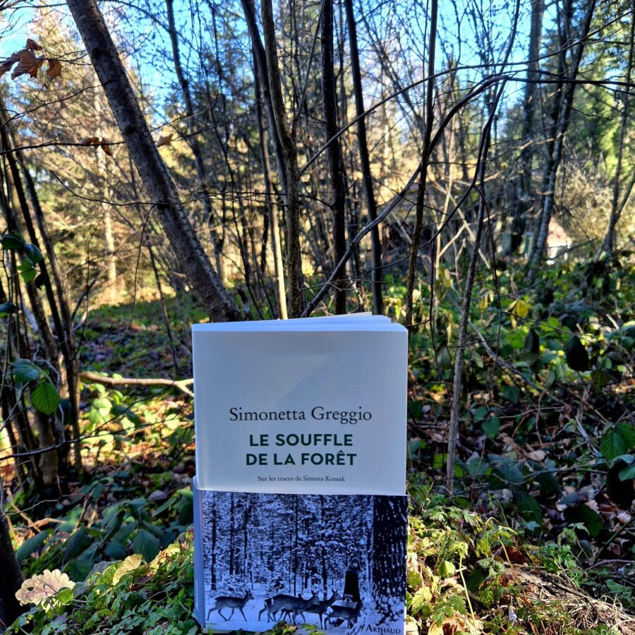 Le souffle de la forêt