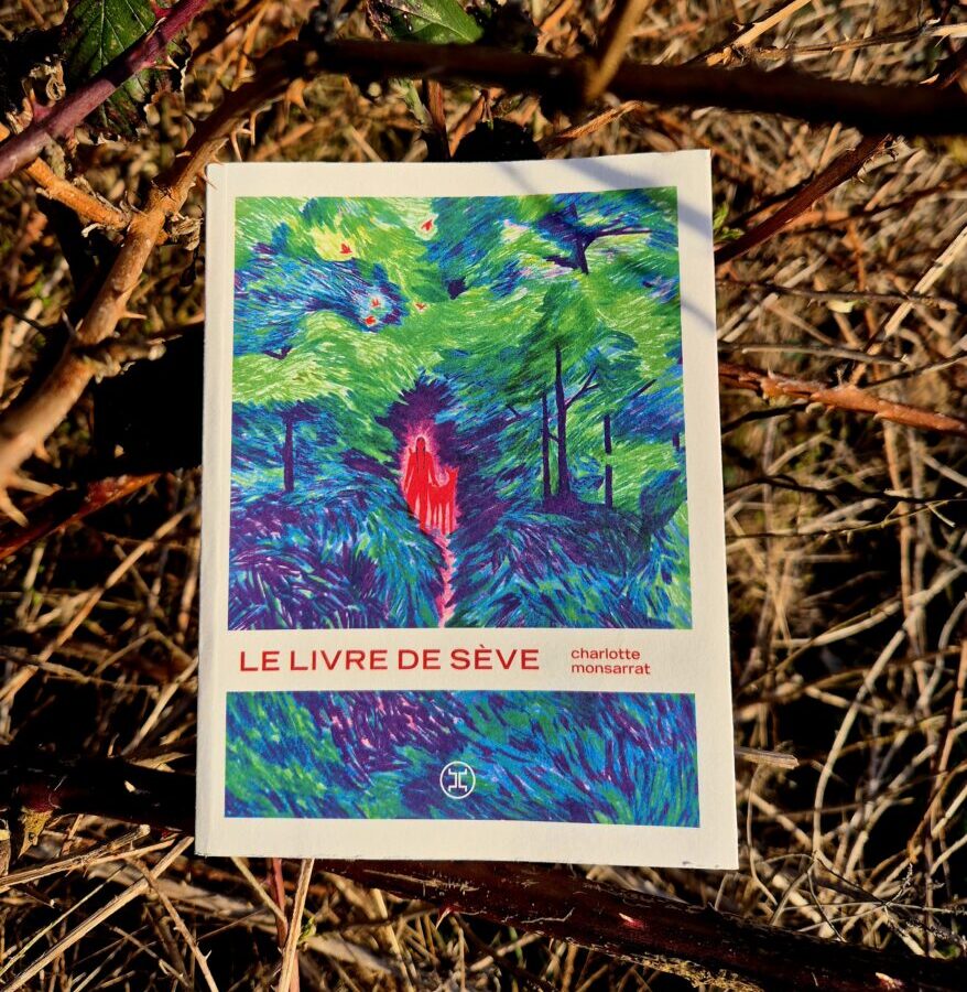 seve-recto-878x1024 Le livre de Sève