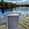 De l'autre côté du lac