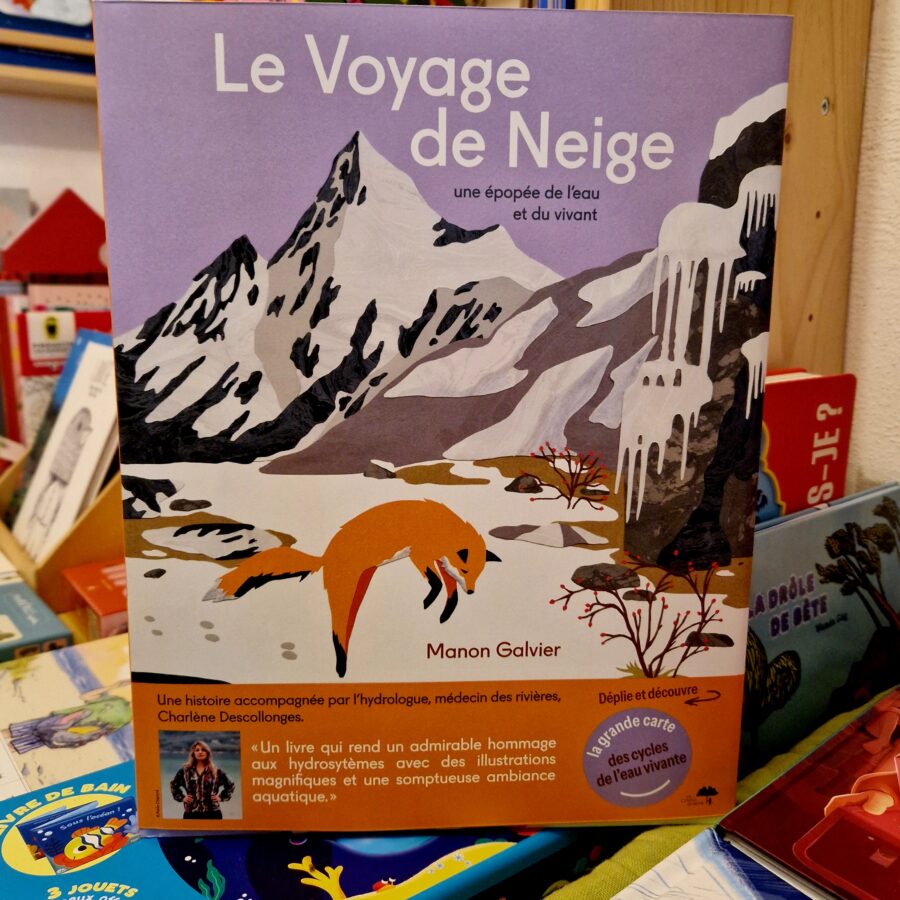 Le Voyage de Neige